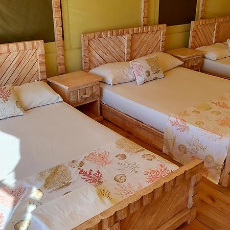 Glamping Ecolodge Cueva De Las Aguilas Pedernales Εξωτερικό φωτογραφία